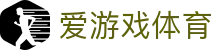 爱游戏体育运营有限公司 - 体育赛事运营服务